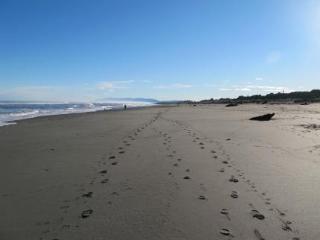 Shining Star Beachfront Accommodation Hokitika Eksteriør bilde